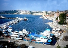 Hafen von Sinop : Fischerboote
